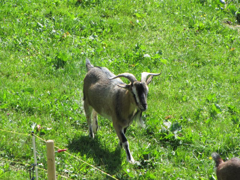 IMG_7820.JPG