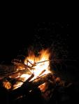 IMG_8337.JPG