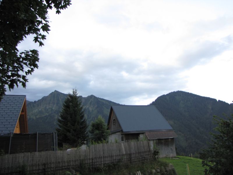 IMG_8367.JPG
