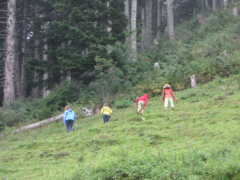 IMG_3127.JPG