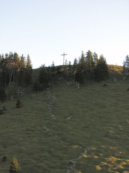IMG_3730.JPG