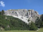 IMG_4125.JPG