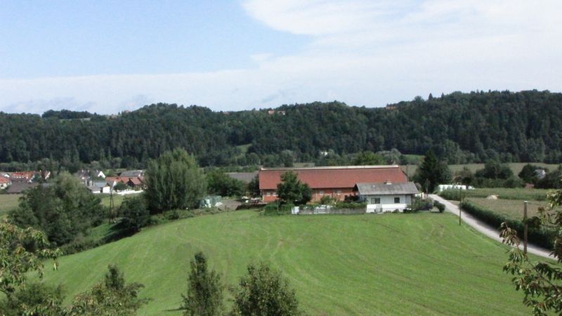 IMG_2072.JPG