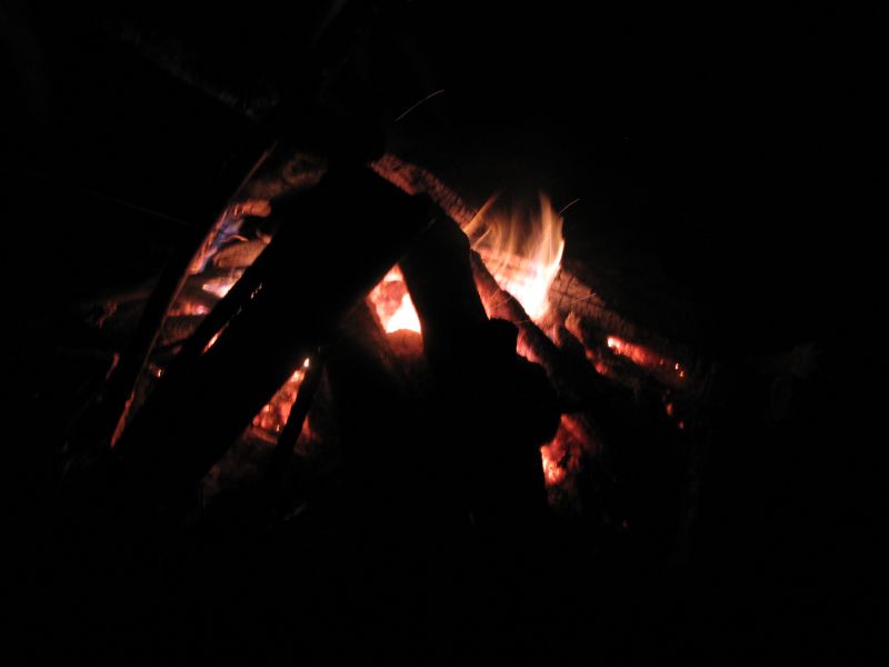 IMG_7118.JPG