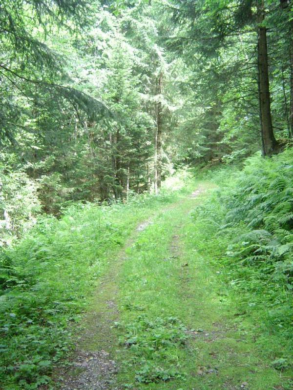 DSC01203
