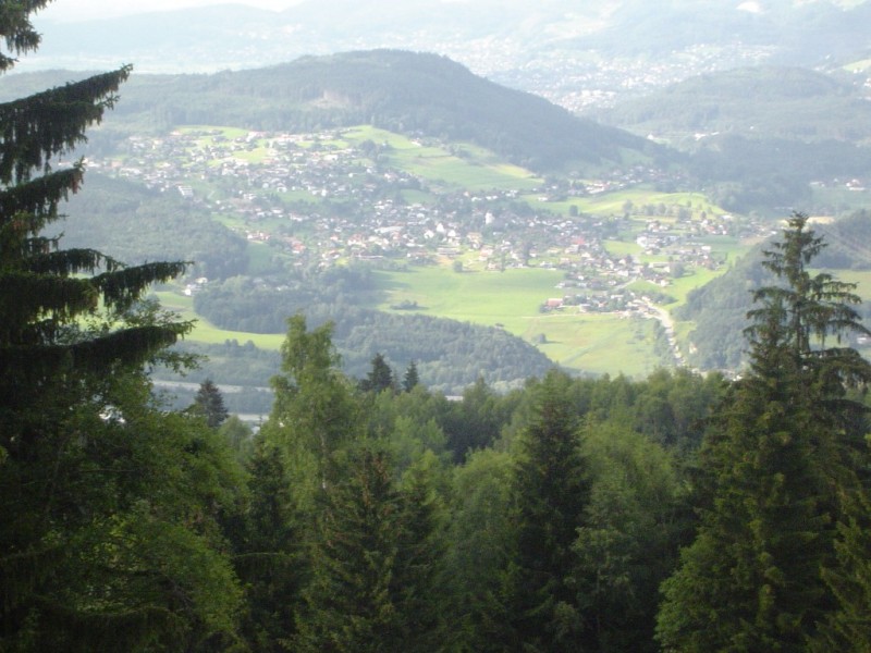 DSC01222