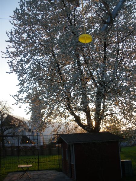 IMGP0364.JPG
