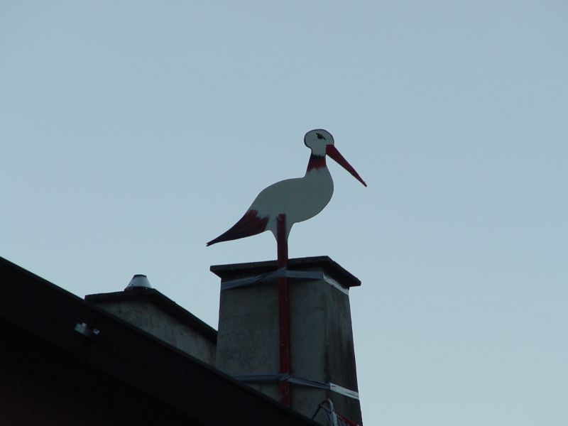DSC07915.JPG