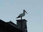 DSC07915.JPG